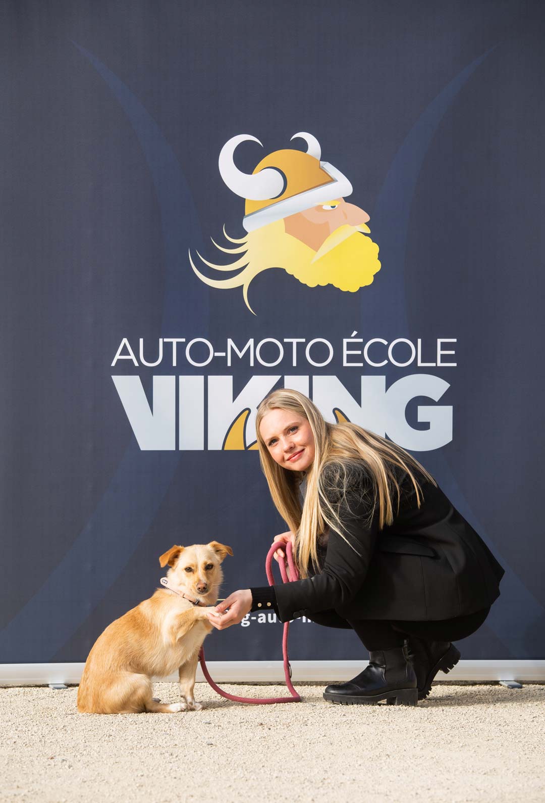 Mascotte Viking Auto-écoles